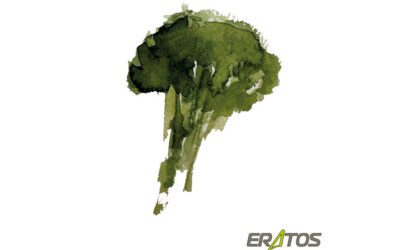 Nuevo catálogo ERATOS 2025
